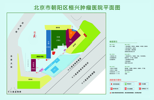 鸡巴插入贝视频动漫北京市朝阳区桓兴肿瘤医院平面图